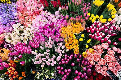 《星刃》韩国开发商Shift Up成为索尼第二方合作伙伴