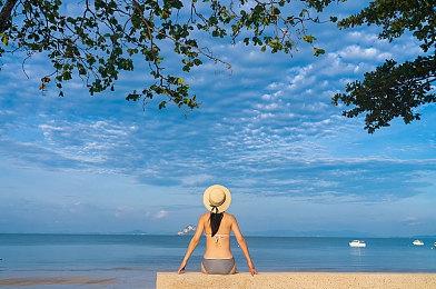 《宝可梦：朱紫》新泰拉挑战5月31日启动 最强巨沼怪参战