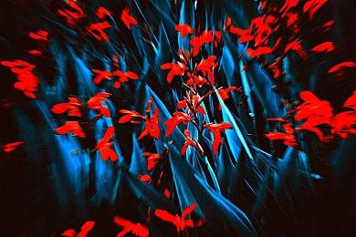 国产第一人称恐怖游戏《纸人贰》现已登陆PS主机